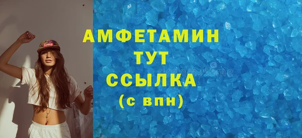 сатива Бородино