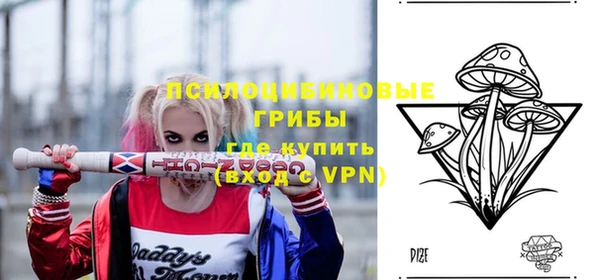 твердый Богородицк