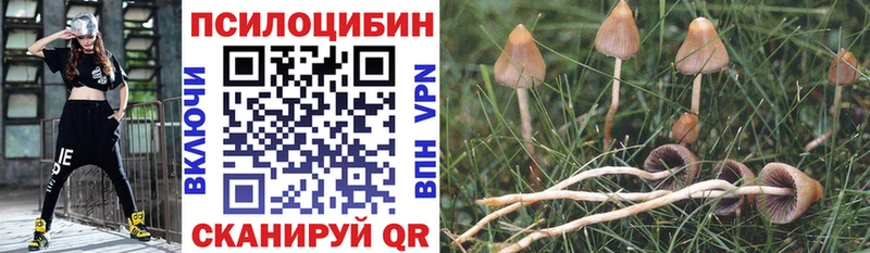 Купить закладки  Томск  Галлюциногенные грибы прущие грибы 